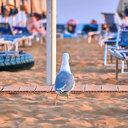 Hotel Bright Flat Surrounded By A Garden 700m From The Sea Bibione